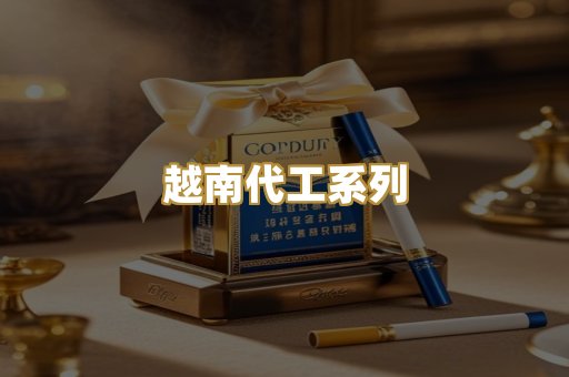 越南代工系列